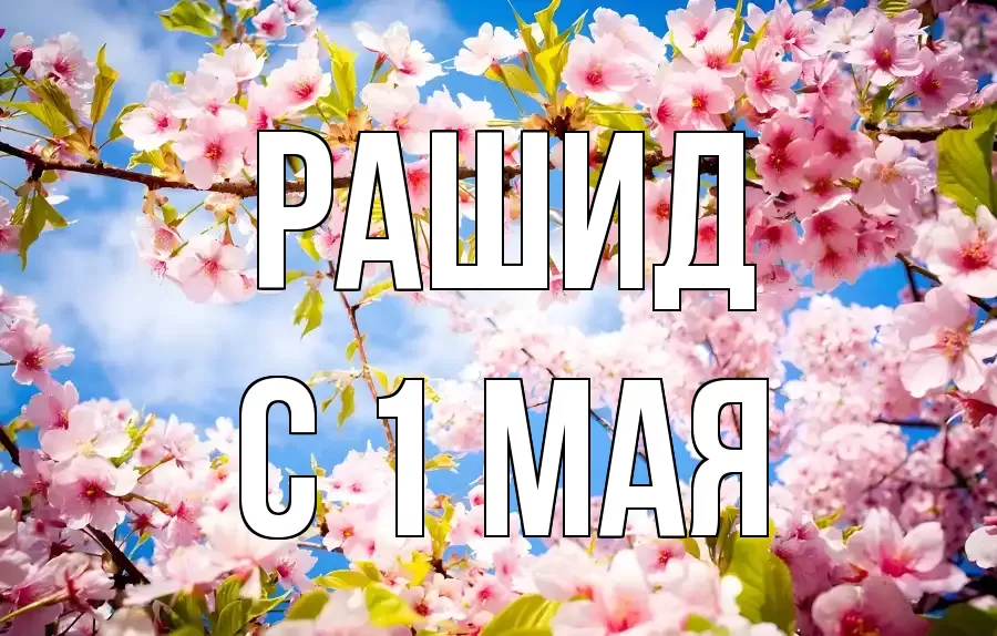 С 1 МАЯ РАШИД