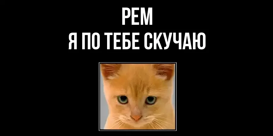 РЕМ Я ПО ТЕБЕ СКУЧАЮ