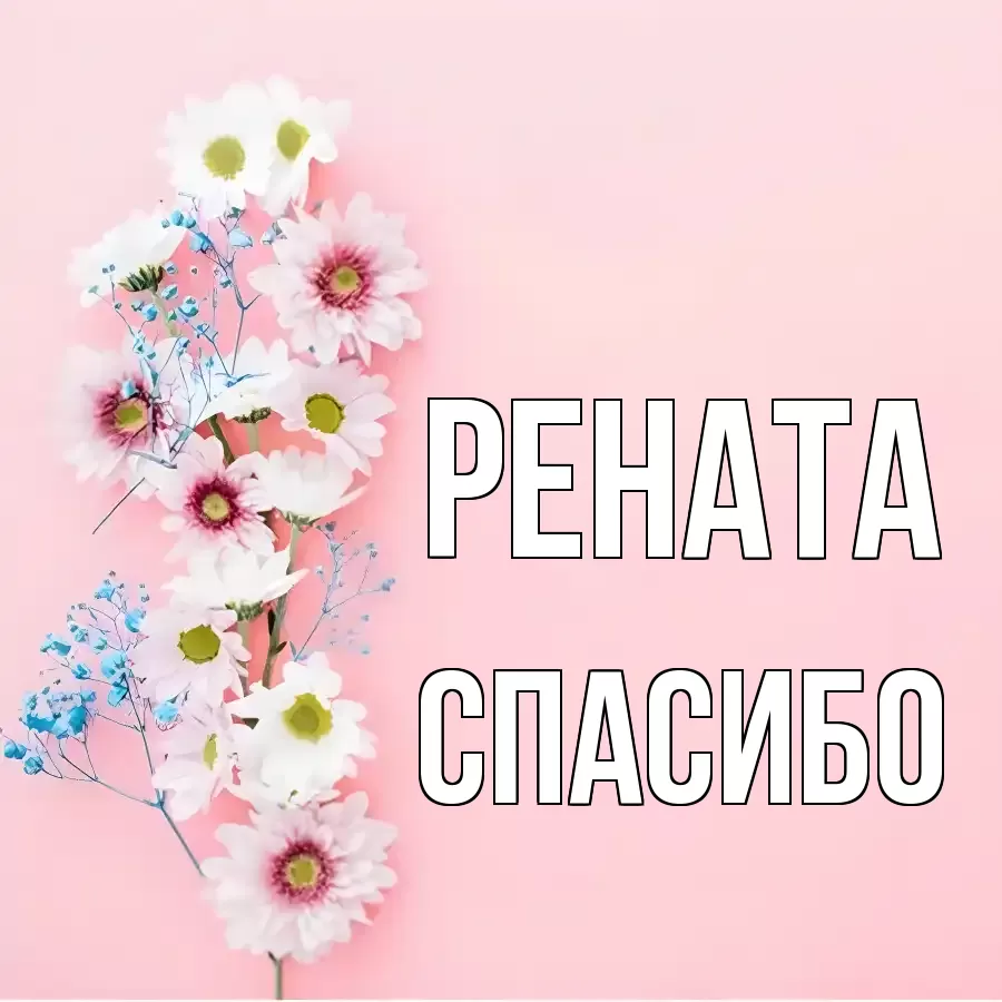 ОТКРЫТКА РЕНАТА