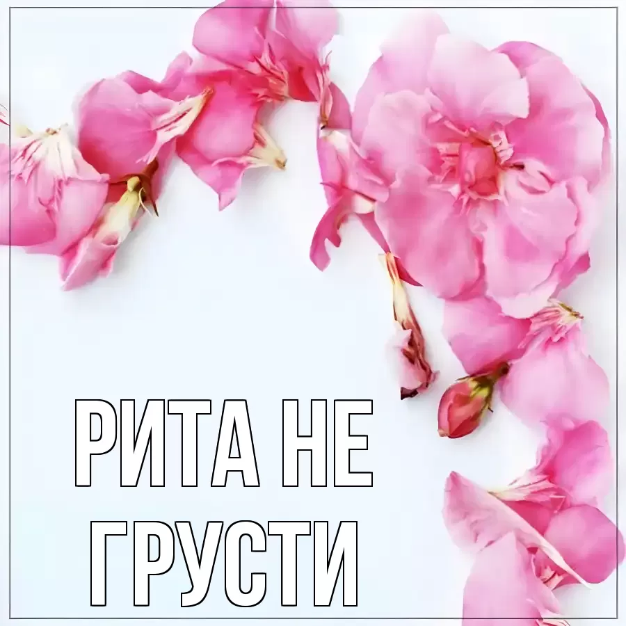 ОТКРЫТКА РИТА