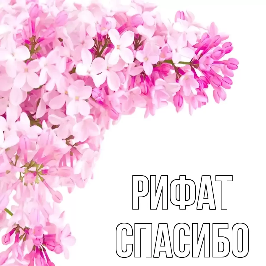 ОТКРЫТКА РИФАТ