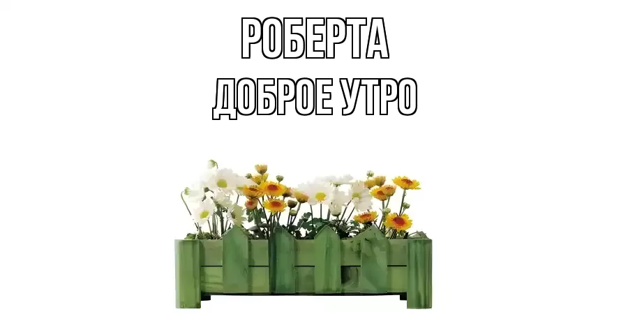 ДОБРОЕ УТРО РОБЕРТА