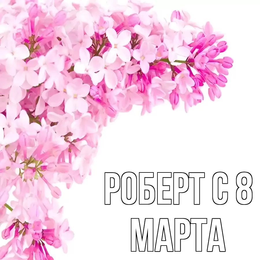 ОТКРЫТКА РОБЕРТ