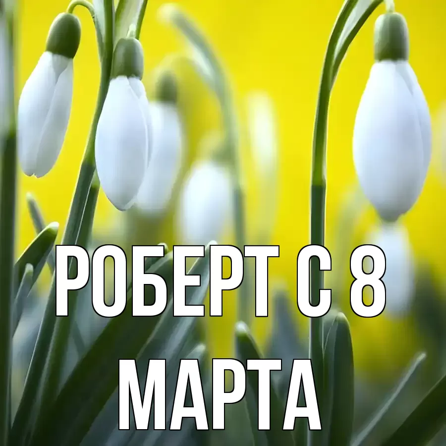 ОТКРЫТКА РОБЕРТ