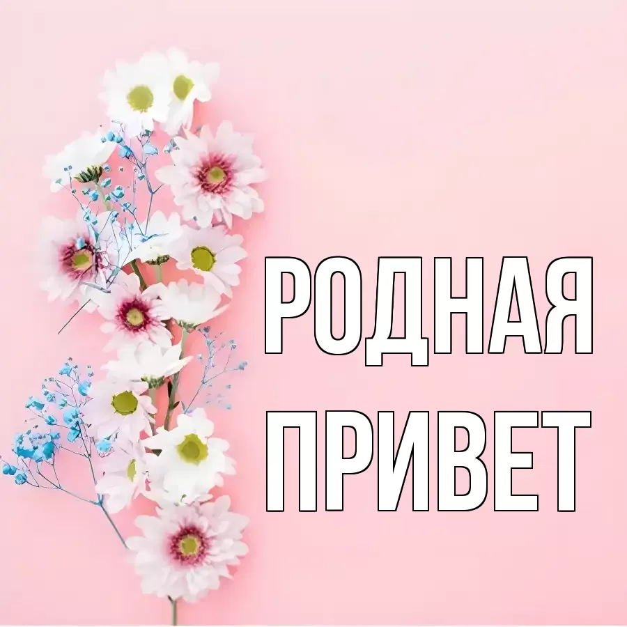 ОТКРЫТКА РОДНАЯ
