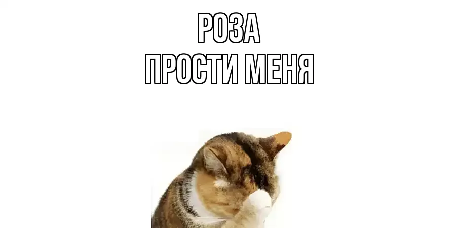 ПРОСТИ МЕНЯ РОЗА