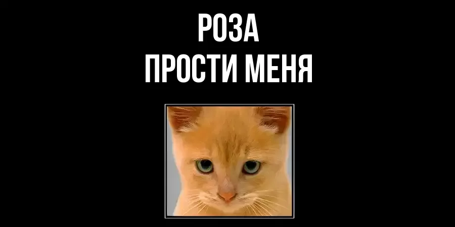 ПРОСТИ МЕНЯ РОЗА