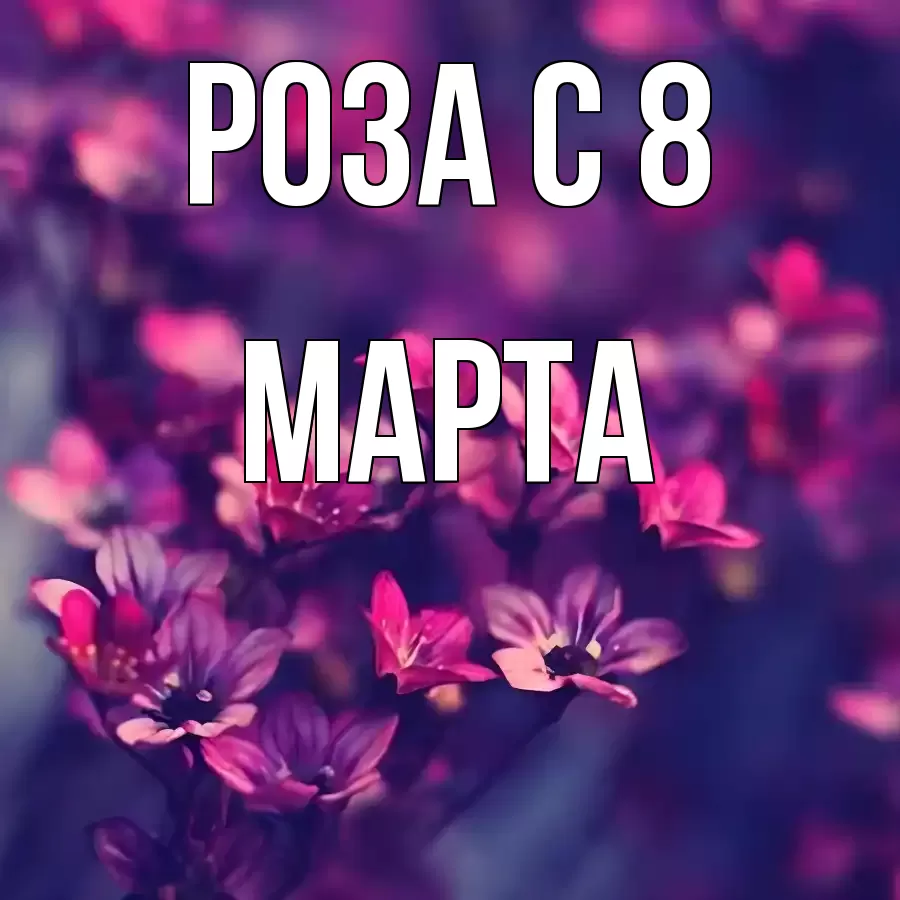 ОТКРЫТКА РОЗА