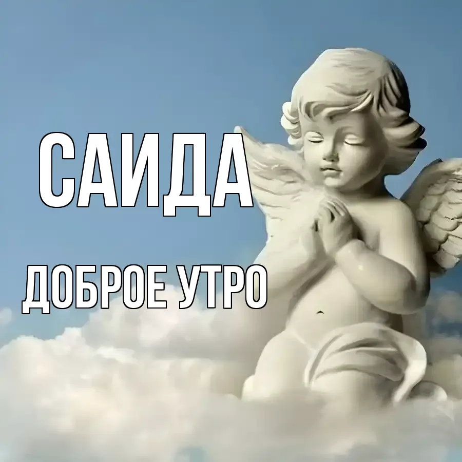 ДОБРОЕ УТРО САИДА