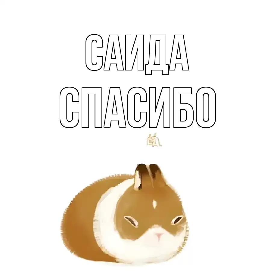 ОТКРЫТКА САИДА