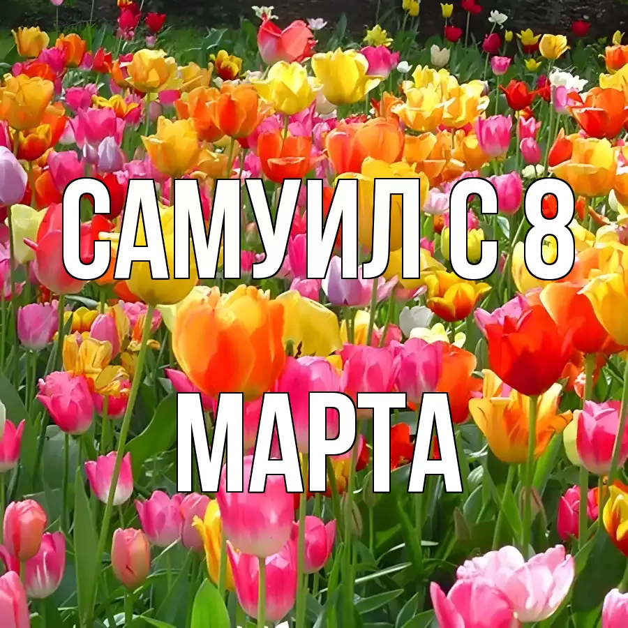 ОТКРЫТКА САМУИЛ