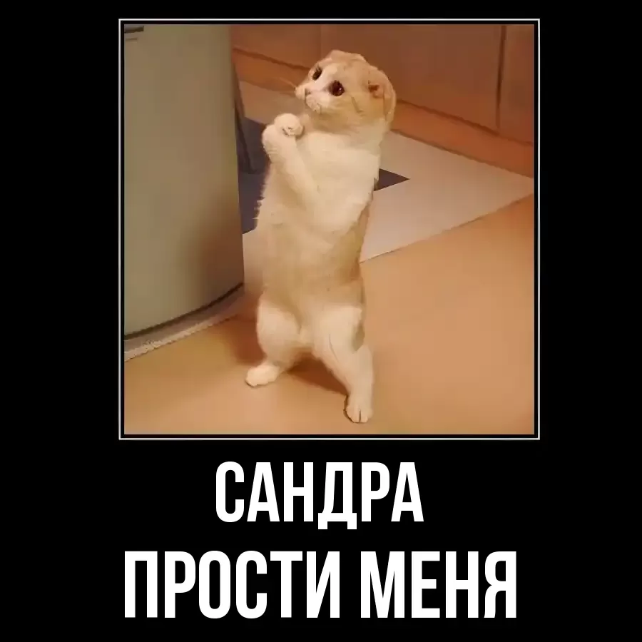 ПРОСТИ МЕНЯ САНДРА