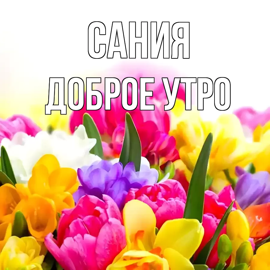 ДОБРОЕ УТРО САНИЯ