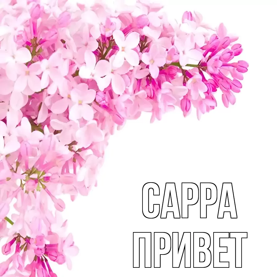 ОТКРЫТКА САРРА