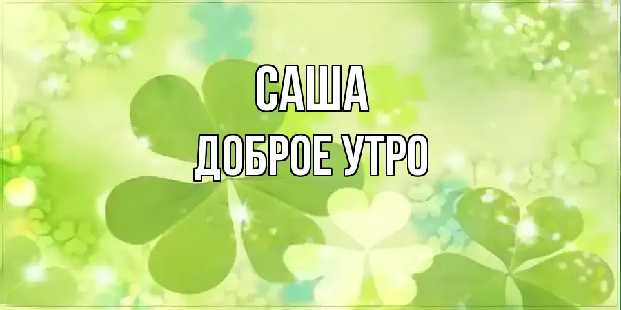 ДОБРОЕ УТРО САША