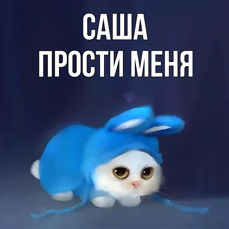 ПРОСТИ МЕНЯ САША