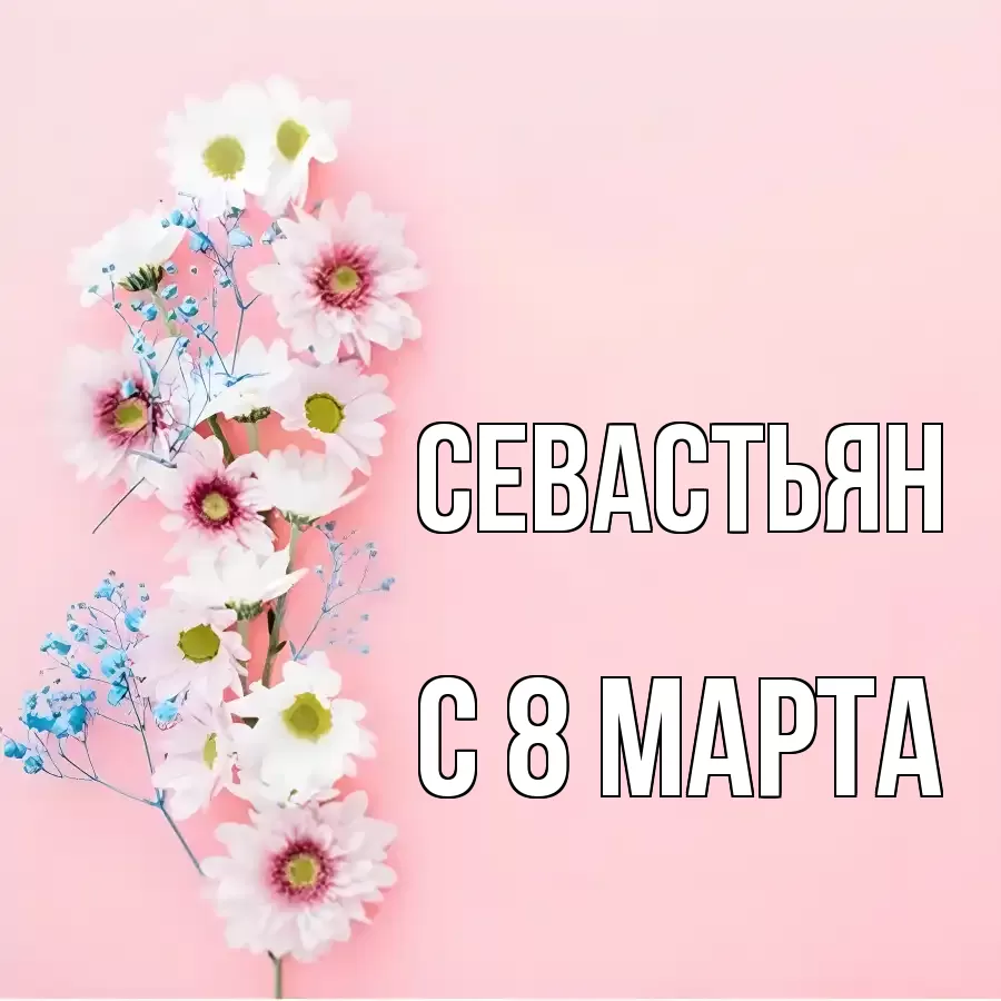 ОТКРЫТКА СЕВАСТЬЯН