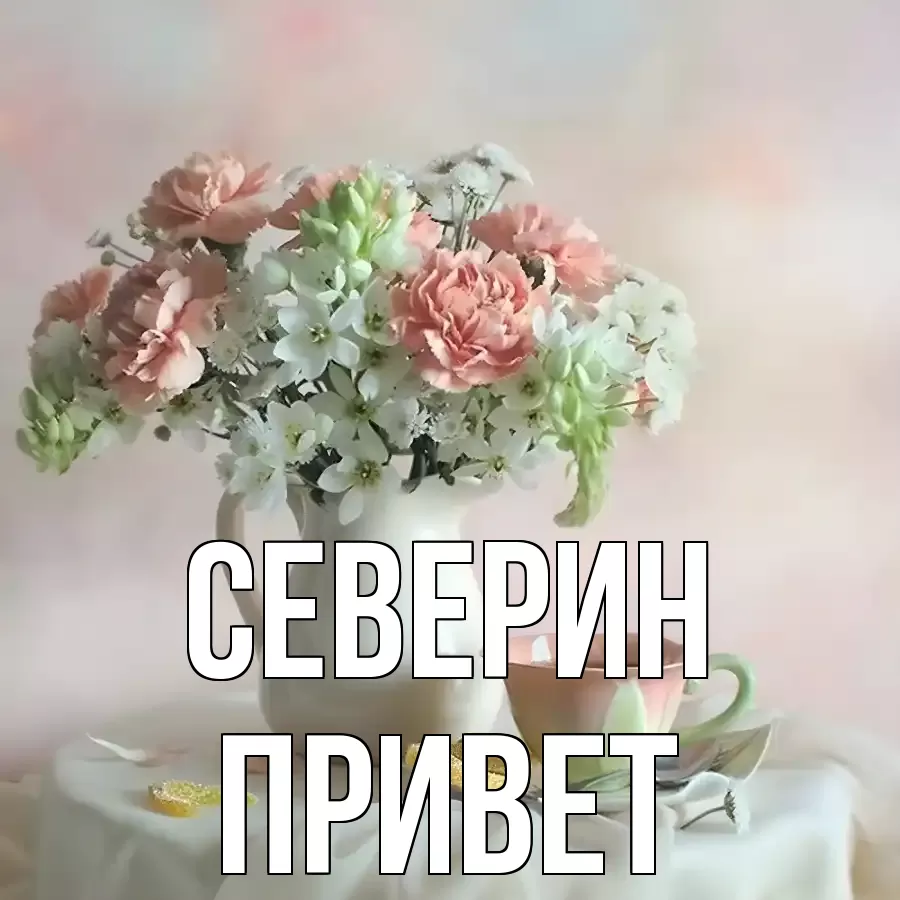 ОТКРЫТКА СЕВЕРИН