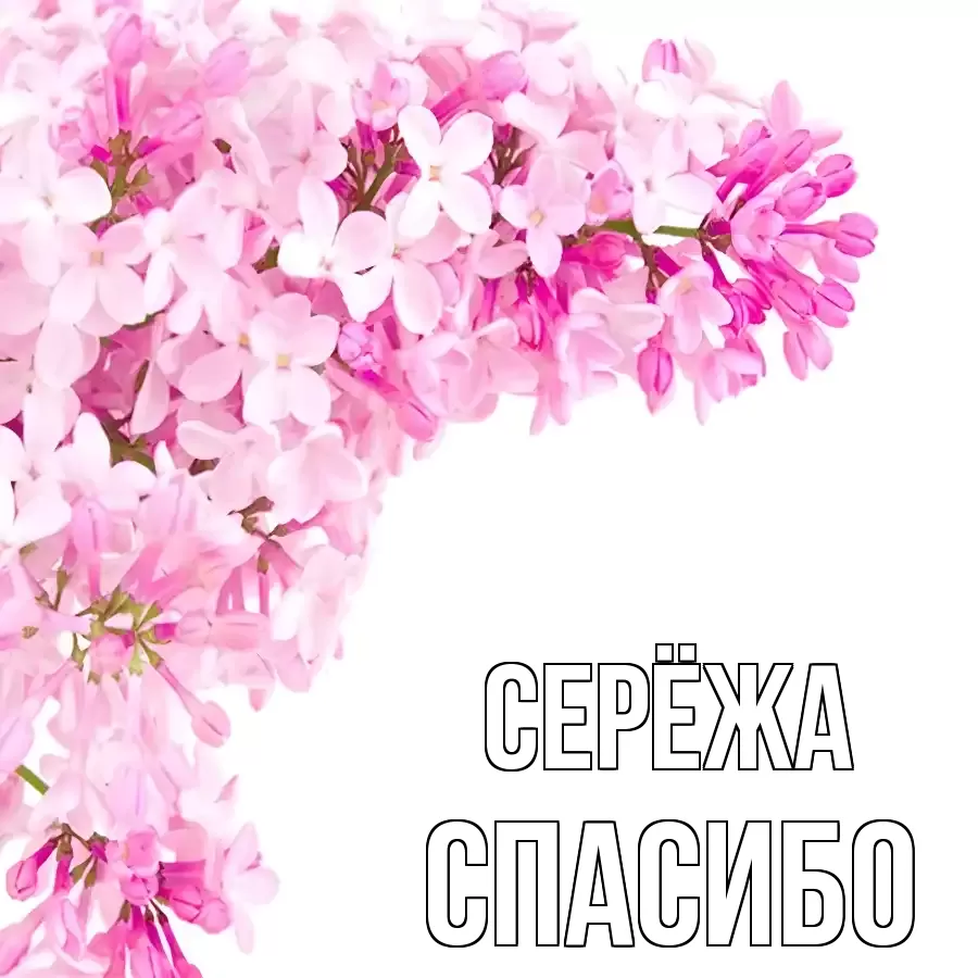 ОТКРЫТКА СЕРЁЖА