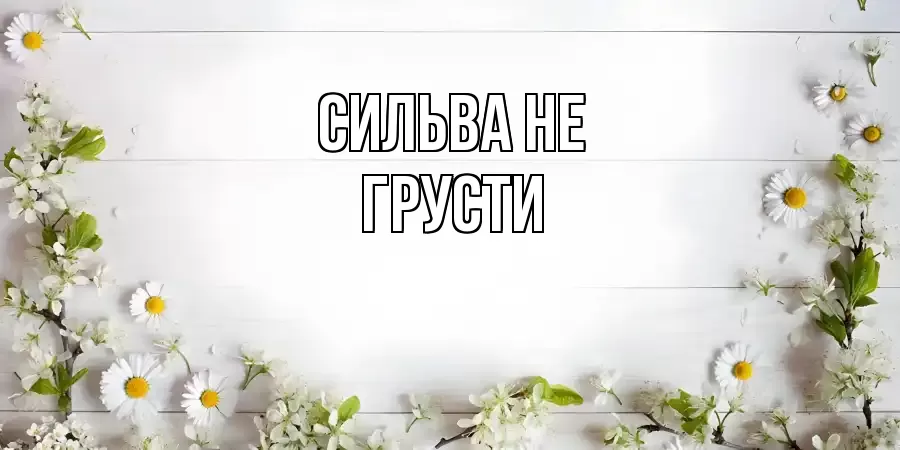 ОТКРЫТКА СИЛЬВА