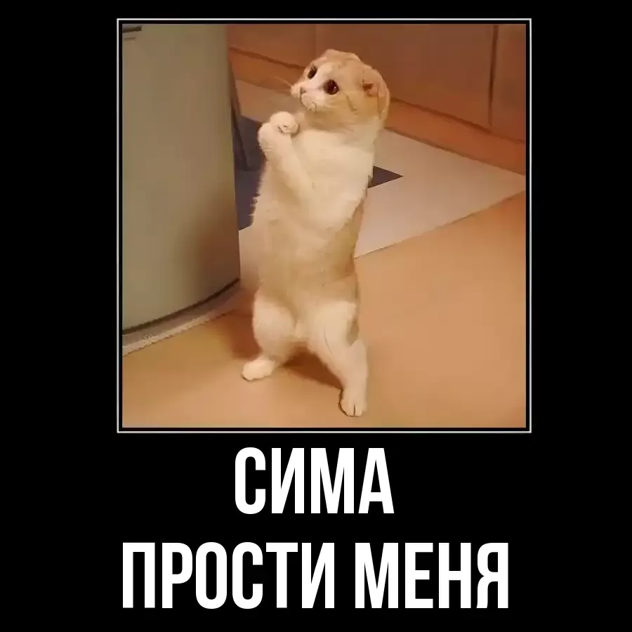 ПРОСТИ МЕНЯ СИМА