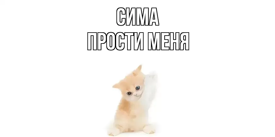 ПРОСТИ МЕНЯ СИМА