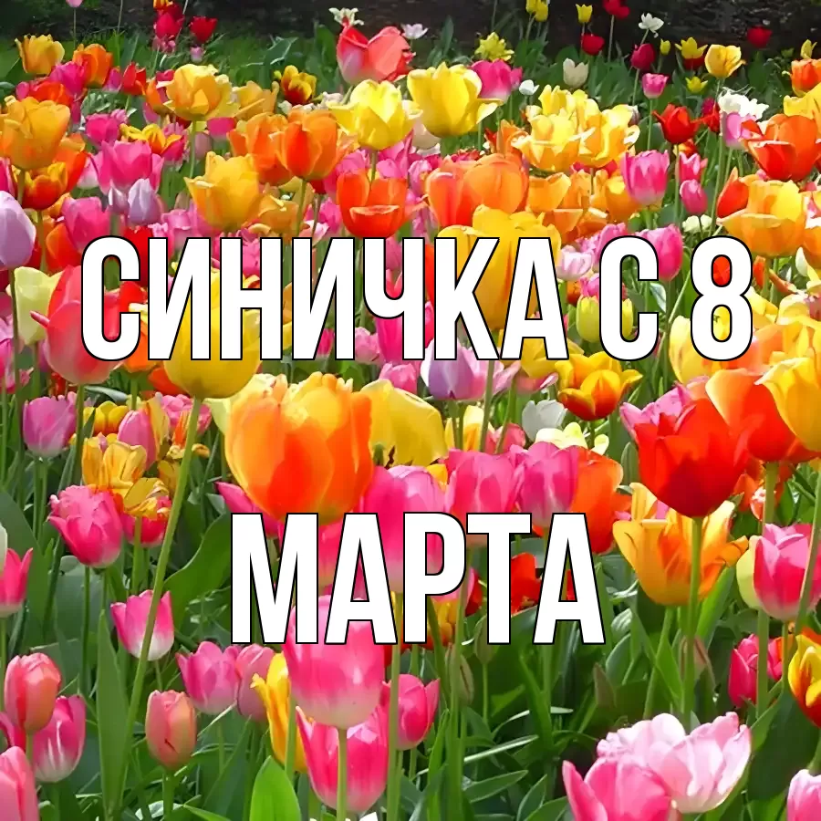 ОТКРЫТКА СИНИЧКА