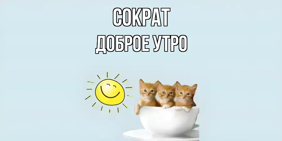 ДОБРОЕ УТРО СОКРАТ