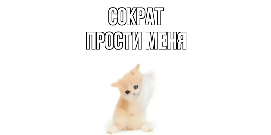 ПРОСТИ МЕНЯ СОКРАТ