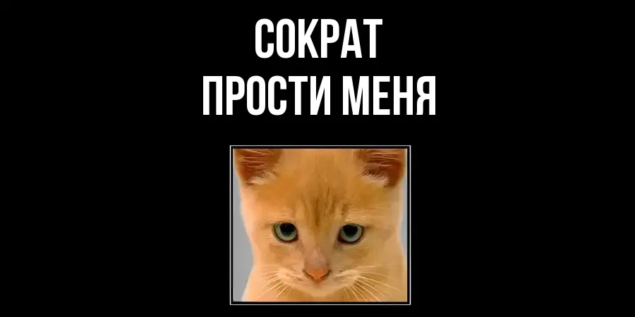 ПРОСТИ МЕНЯ СОКРАТ