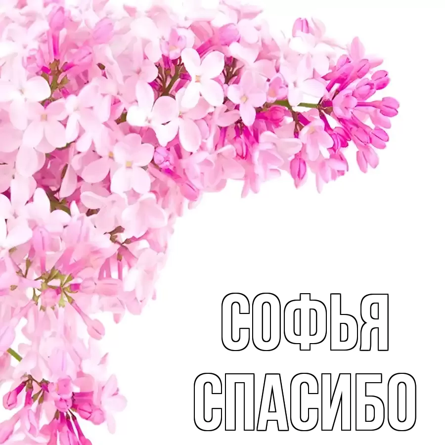 ОТКРЫТКА СОФЬЯ