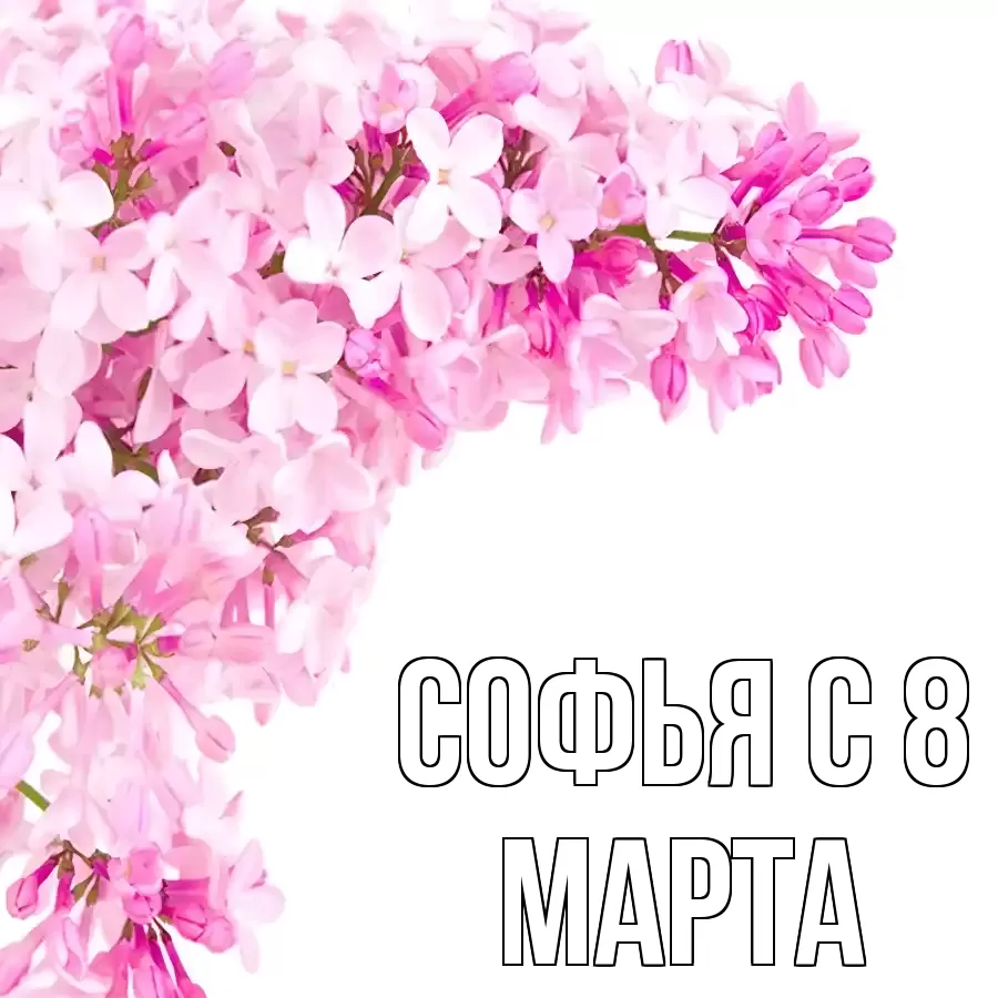 ОТКРЫТКА СОФЬЯ