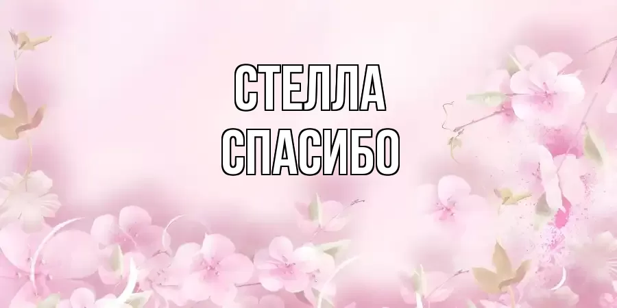 ОТКРЫТКА СТЕЛЛА