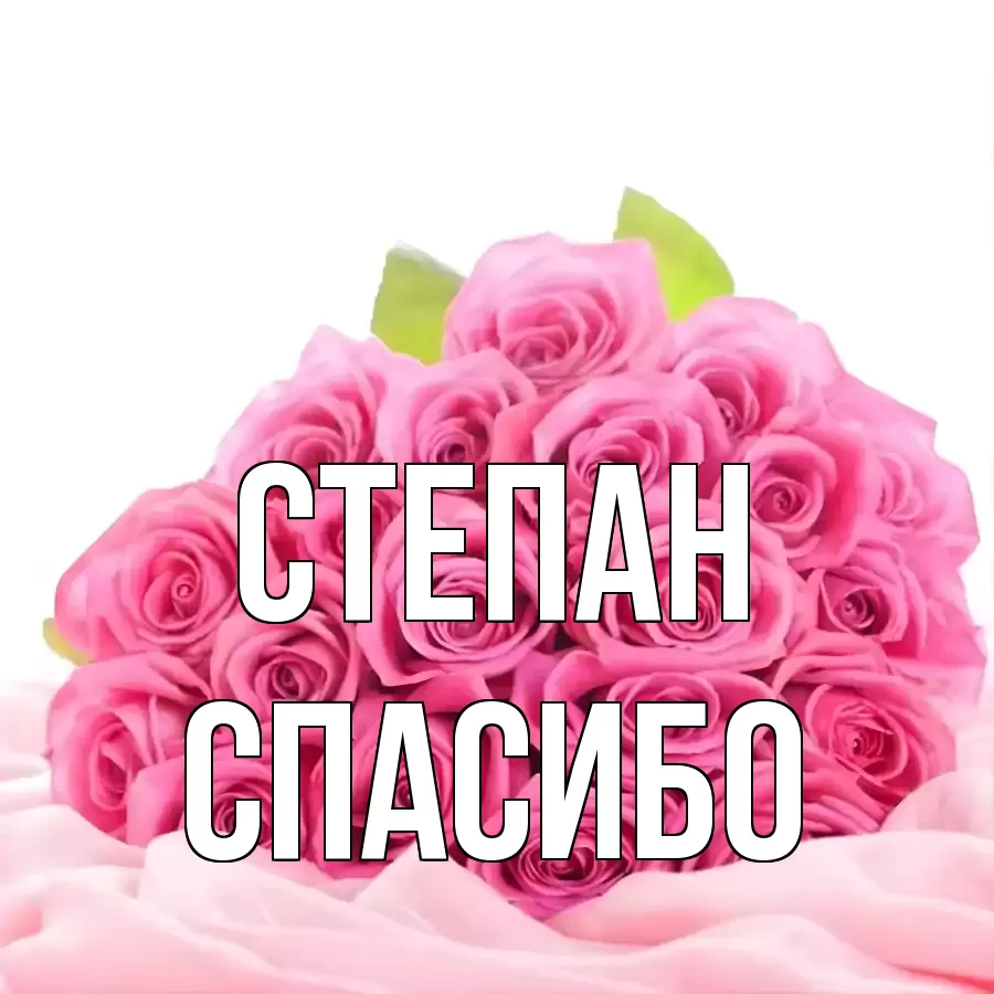 ОТКРЫТКА СТЕПАН