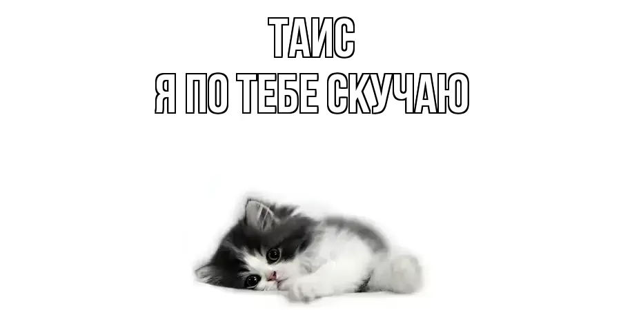 ТАИС Я ПО ТЕБЕ СКУЧАЮ