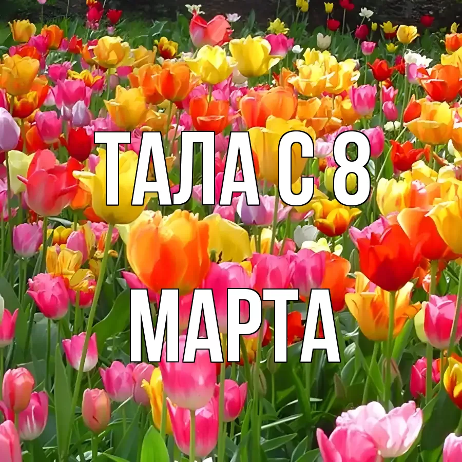 ОТКРЫТКА ТАЛА