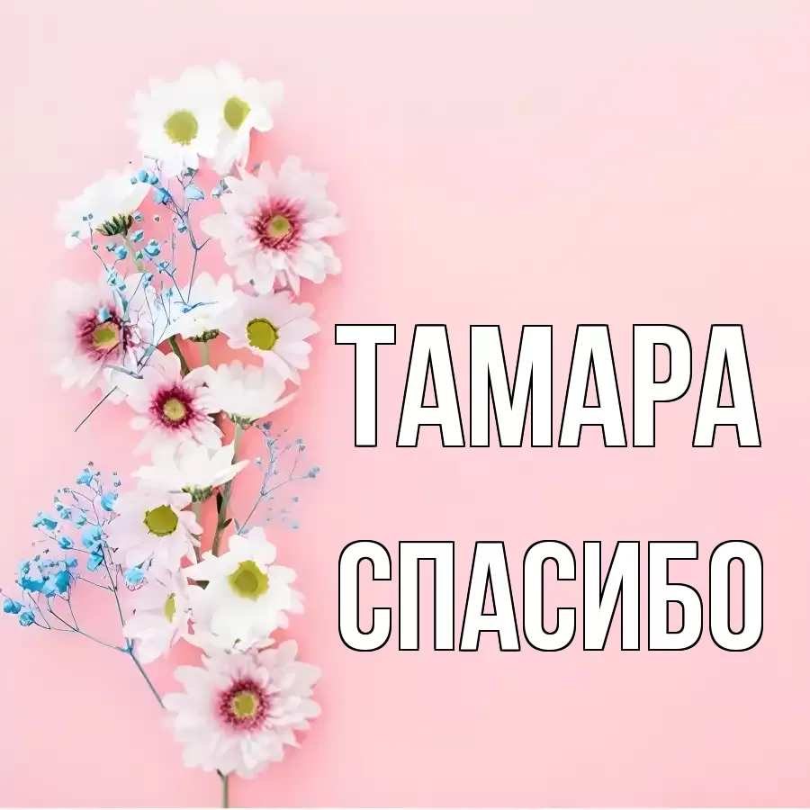 ОТКРЫТКА ТАМАРА