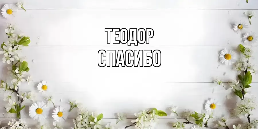 ОТКРЫТКА ТЕОДОР
