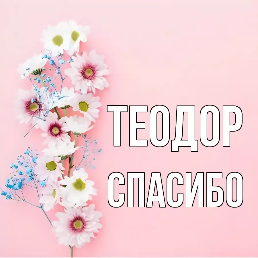 ОТКРЫТКА ТЕОДОР