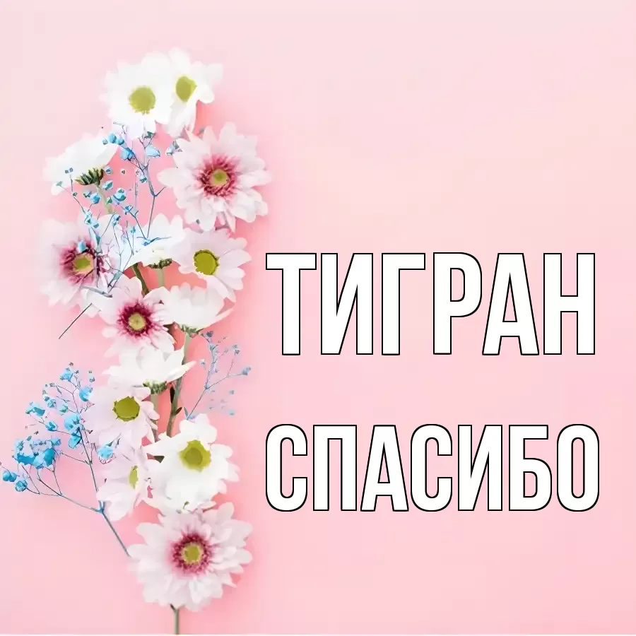 ОТКРЫТКА ТИГРАН