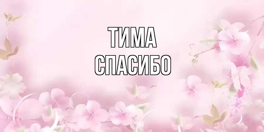 ОТКРЫТКА ТИМА