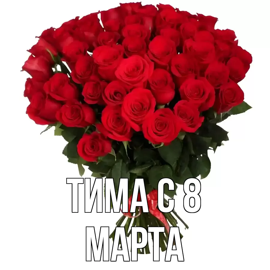 ОТКРЫТКА ТИМА