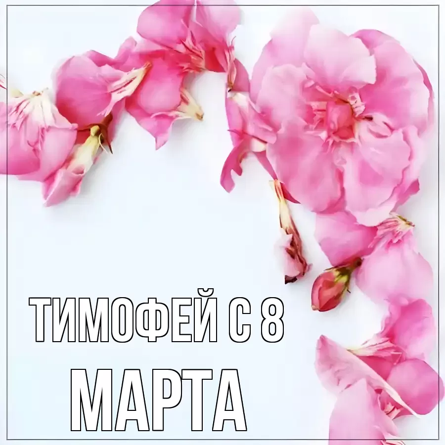 ОТКРЫТКА ТИМОФЕЙ