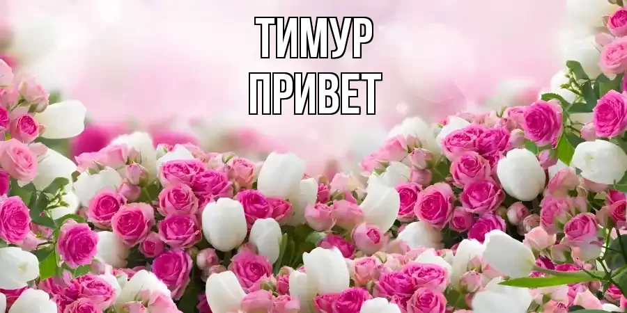 ОТКРЫТКА ТИМУР