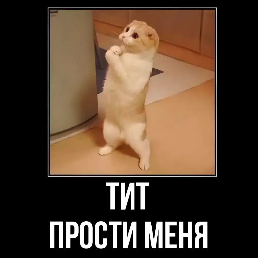 ПРОСТИ МЕНЯ ТИТ