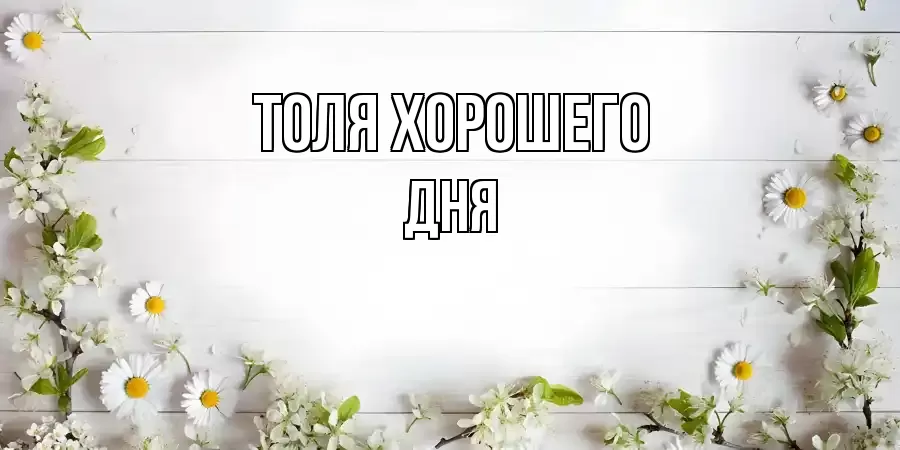ОТКРЫТКА ТОЛЯ
