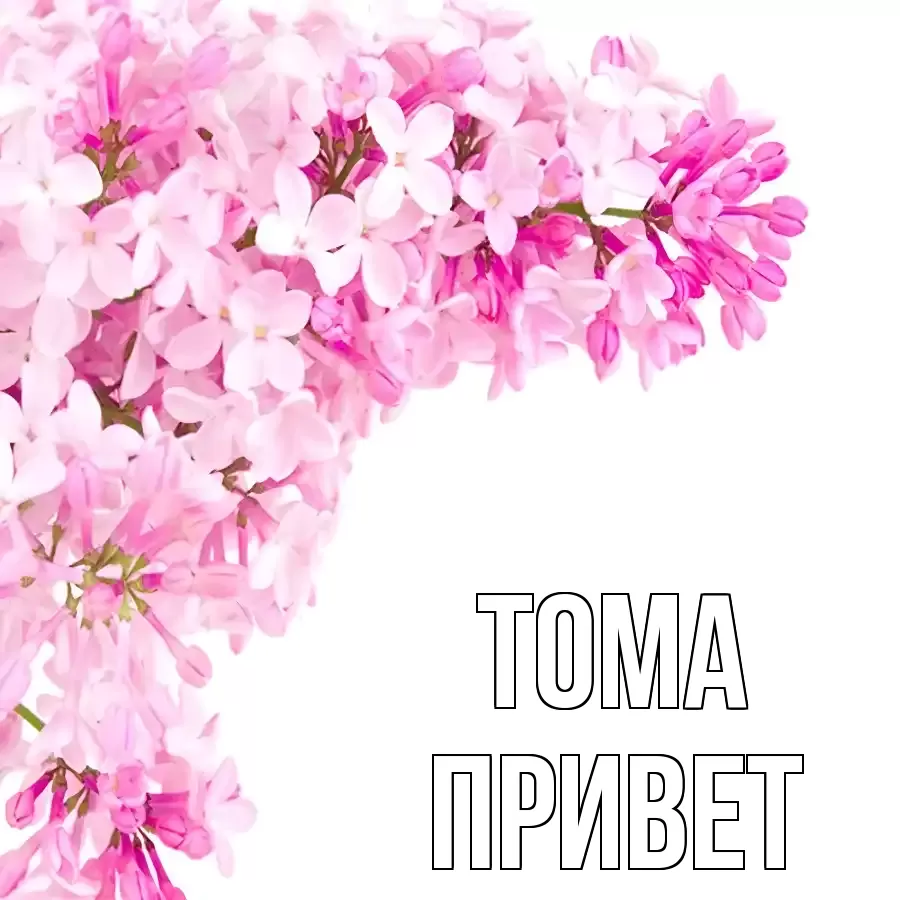 ОТКРЫТКА ТОМА