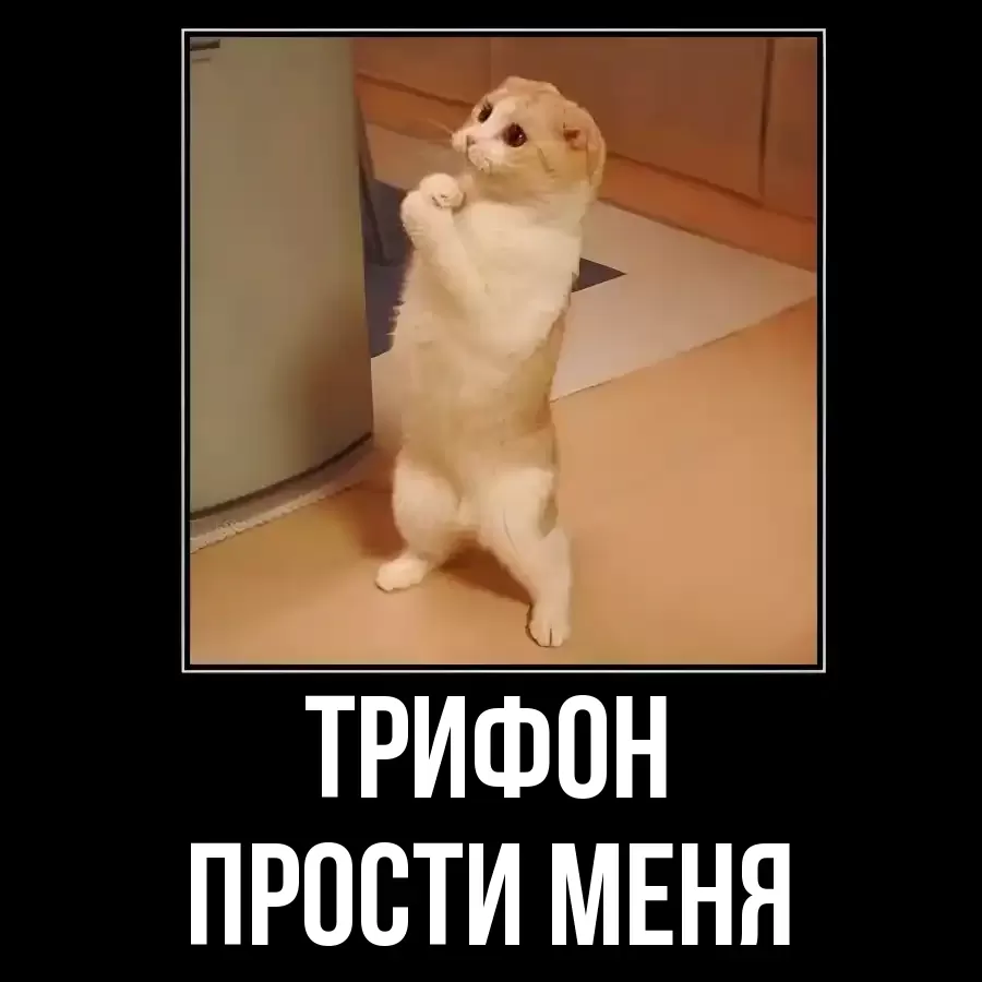 ПРОСТИ МЕНЯ ТРИФОН