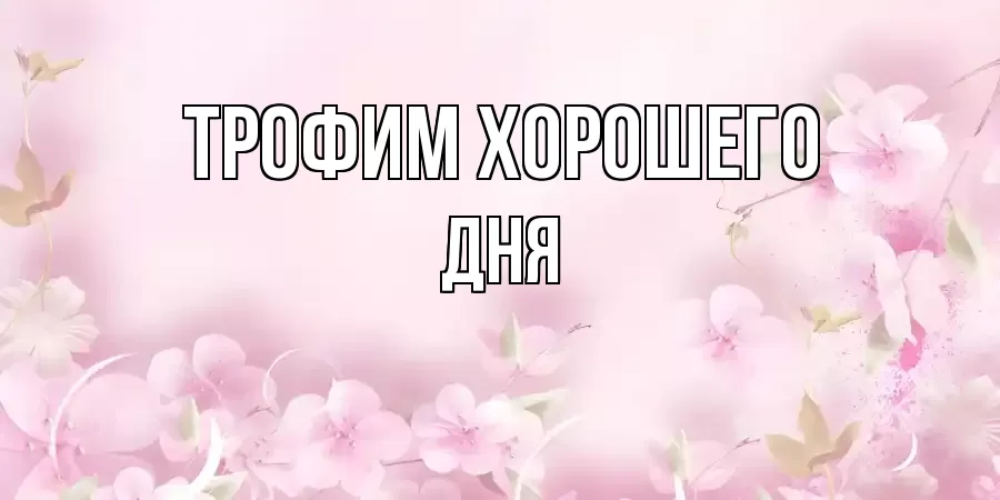 ОТКРЫТКА ТРОФИМ