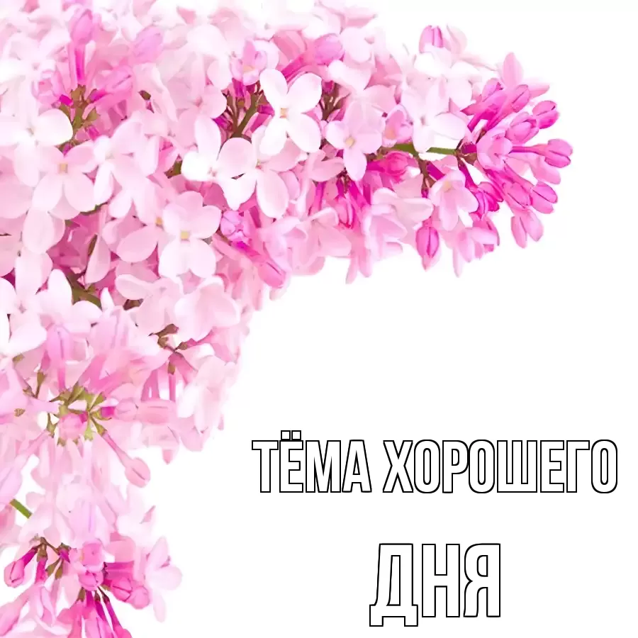 ОТКРЫТКА ТЁМА